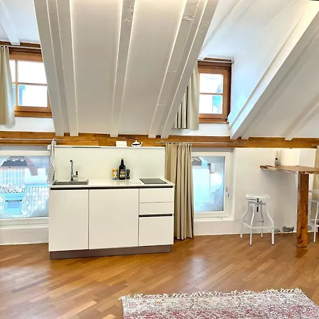 Historic And In The Centre Of Apartment *