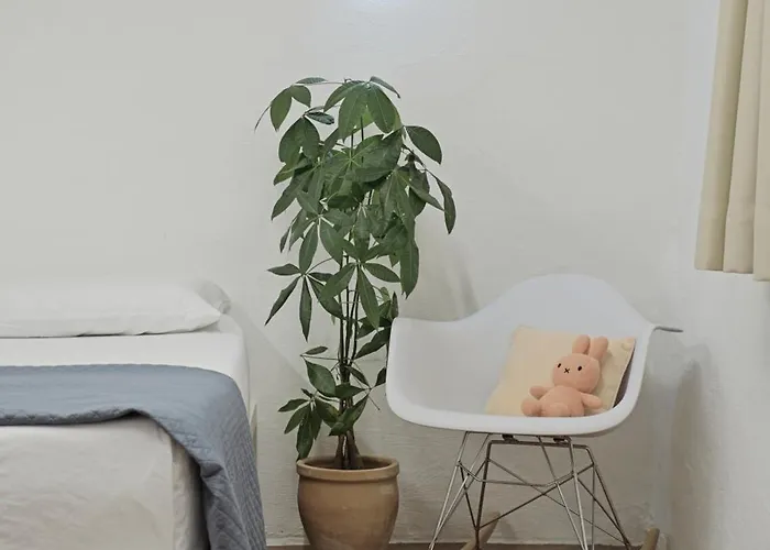 Apartment Historic And In The Centre Of *